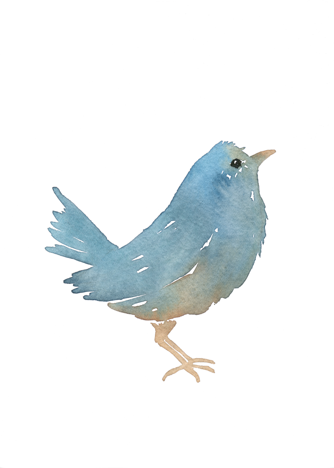 unnamed image